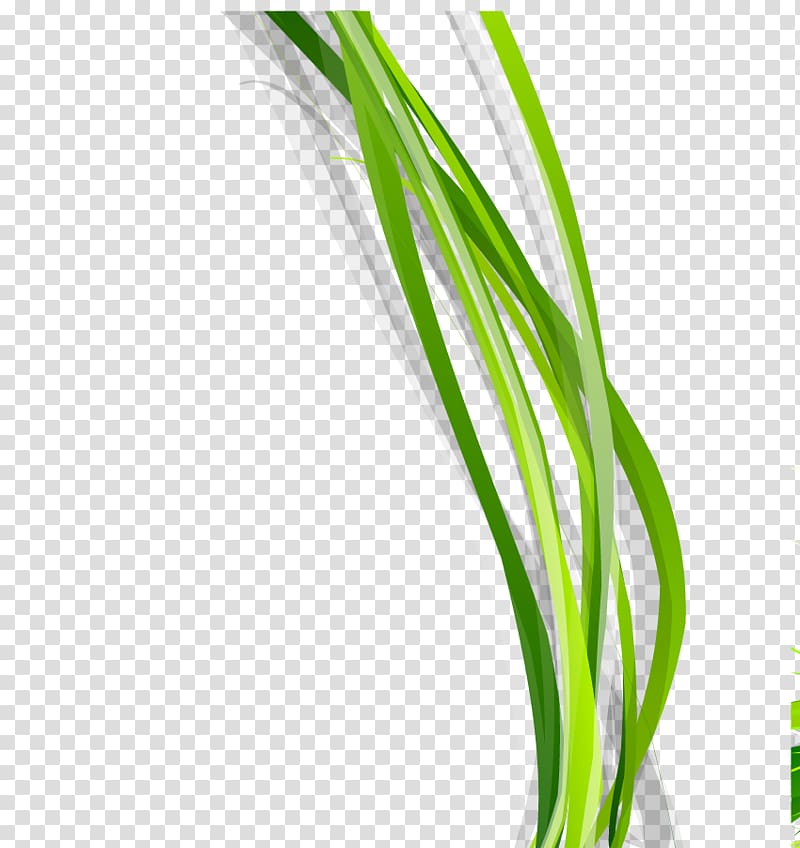 Green Designer, Green grass border transparent background PNG clipart