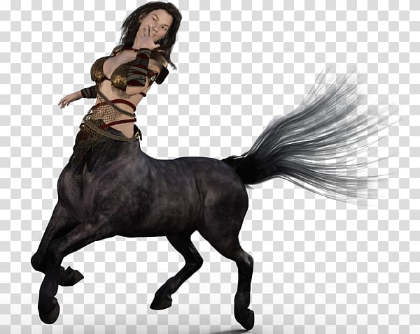 Centaur transparent background PNG clipart