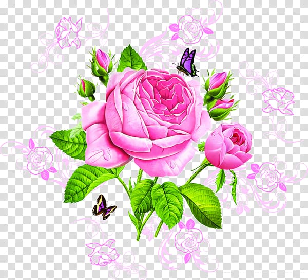 Garden roses Butterfly Pink, butterfly transparent background PNG clipart