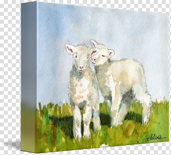 Goat Cattle Sheep Caprinae Painting, watercolour animals transparent background PNG clipart