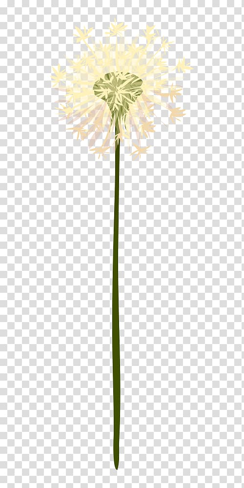 Floral design Oxeye daisy Cut flowers Common daisy Petal, Hand painted dandelion transparent background PNG clipart