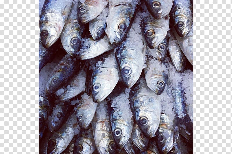 Sardine Kipper Tinapa Fish products Oily fish, fish transparent background PNG clipart