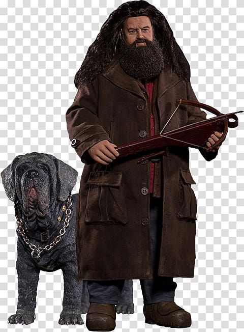 Robbie Coltrane Rubeus Hagrid Harry Potter and the Philosopher\'s Stone Action & Toy Figures, Sirius Black transparent background PNG clipart