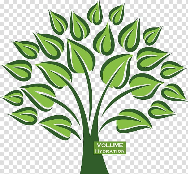Organization Marketing Dentistry Tax Genealogy, side tree transparent background PNG clipart