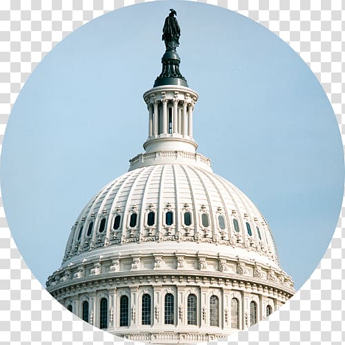 United States Capitol dome Statue of Freedom Business Lawyer, Business transparent background PNG clipart