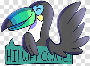 Beak Flightless bird , Bird transparent background PNG clipart thumbnail