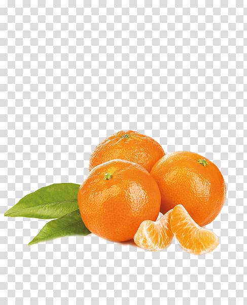 Clementine Bavarian cream Mandarin orange Fruit Lemon, lemon transparent background PNG clipart