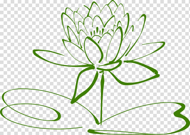 Nelumbo nucifera Water lilies , lily transparent background PNG clipart