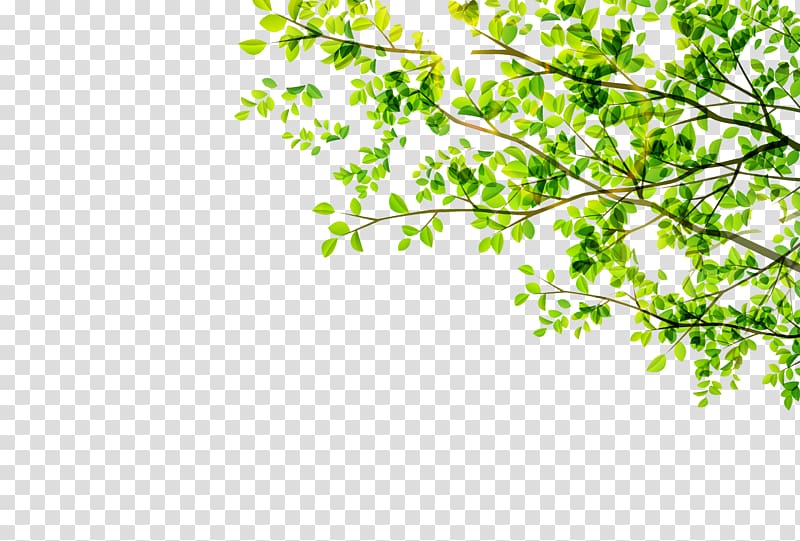 green leafed tree border , Leaf Green, Green leaves transparent background PNG clipart