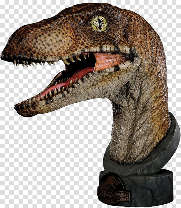 Velociraptor Deinonychus Dilophosaurus Jurassic Park Bust, Statue head transparent background PNG clipart