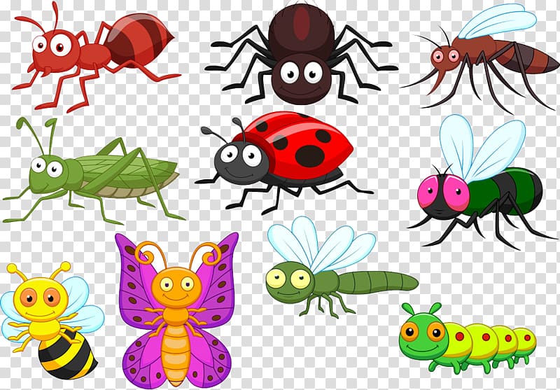 Beetle Cartoon Illustration, Insect World transparent background PNG clipart