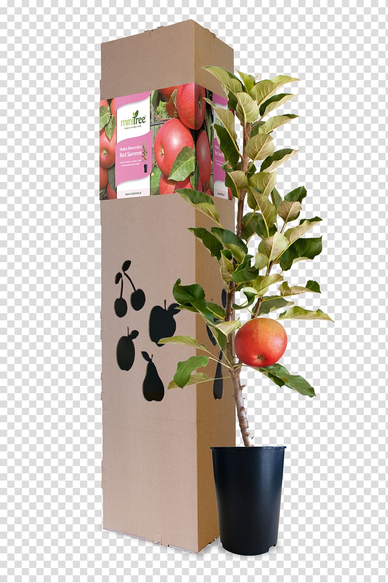 Blossom Apple sauce Fruit Muesli, red summer transparent background PNG clipart
