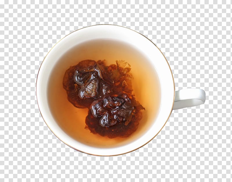 Tea Chutney Sterculia lychnophora Google s, Panda Hai tea transparent background PNG clipart