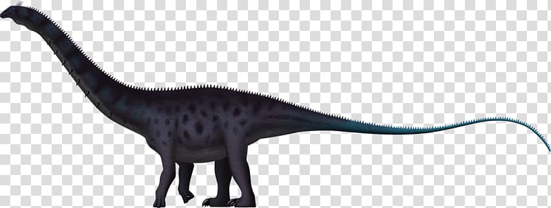 Apatosaurus Brachiosaurus Brontosaurus Dinosaur Brachytrachelopan, jurassic park transparent background PNG clipart