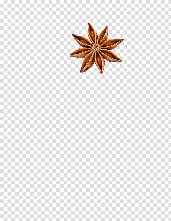 Brown Flower, aniseed transparent background PNG clipart