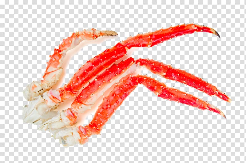 King crab Seafood Chinese mitten crab Declawing of crabs, HD crab claw crabs transparent background PNG clipart