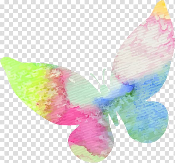 multicolored butterfly art, Butterfly Illustration, Drawing butterfly transparent background PNG clipart