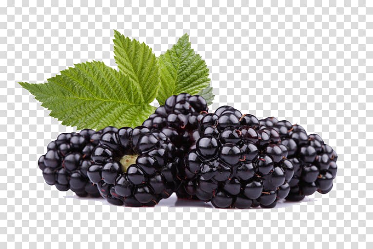 Frutti di bosco Black Raspberry Blackberry Red raspberry, Black Raspberries HD transparent background PNG clipart