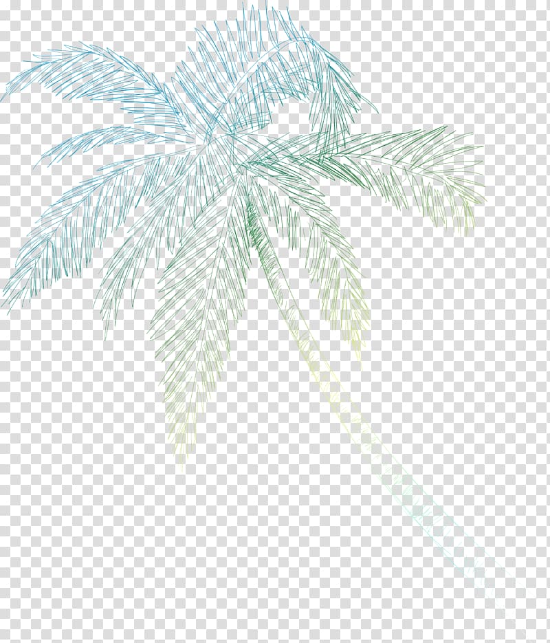 Palm trees Date palm Line Leaf Branching, coconut shell transparent background PNG clipart