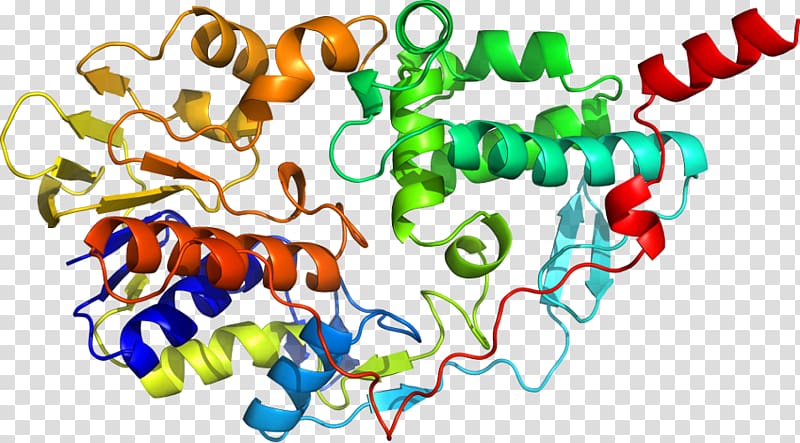 Shkola Khorarnoy Astrologii Marka Rusborna Monoamine oxidase Scientist Nature , Monoamine Oxidase transparent background PNG clipart