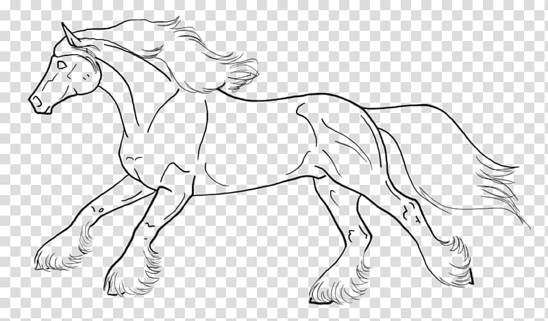 Line art Pony Gypsy horse Mustang Sketch, mustang transparent background PNG clipart