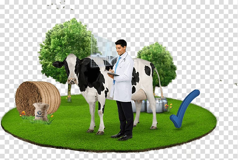 Cattle Health Milk Medicine Physician, health transparent background PNG clipart