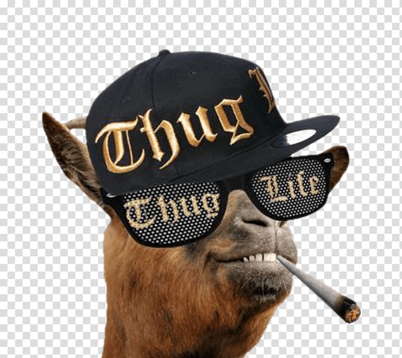 Thug life transparent background PNG clipart