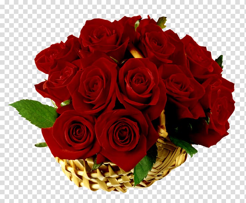 Rose Basket Flower , red rose decorative transparent background PNG clipart