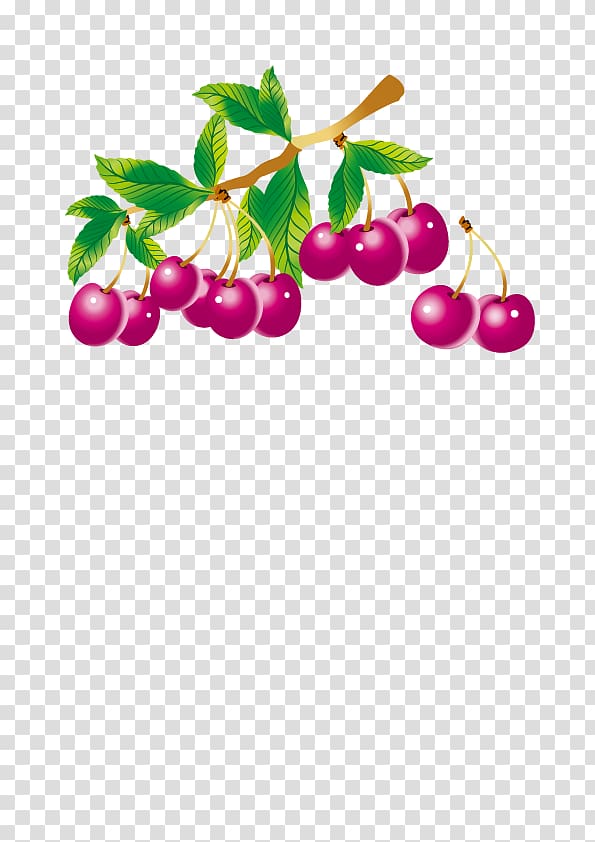 Fruit preserves Illustration, Purple cherry transparent background PNG clipart