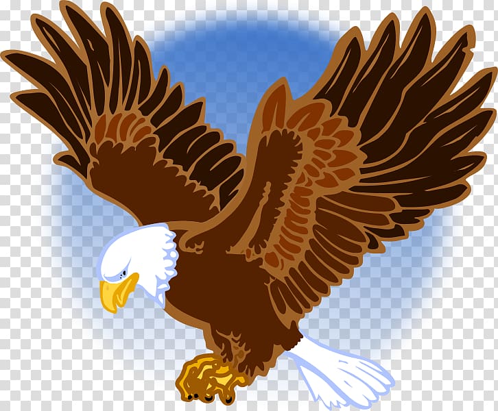 Bald eagle Flag of the United States Decal, eagle transparent