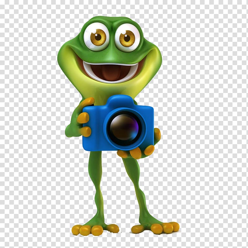 Frog Illustration, Holding the camera\'s frog transparent background PNG clipart