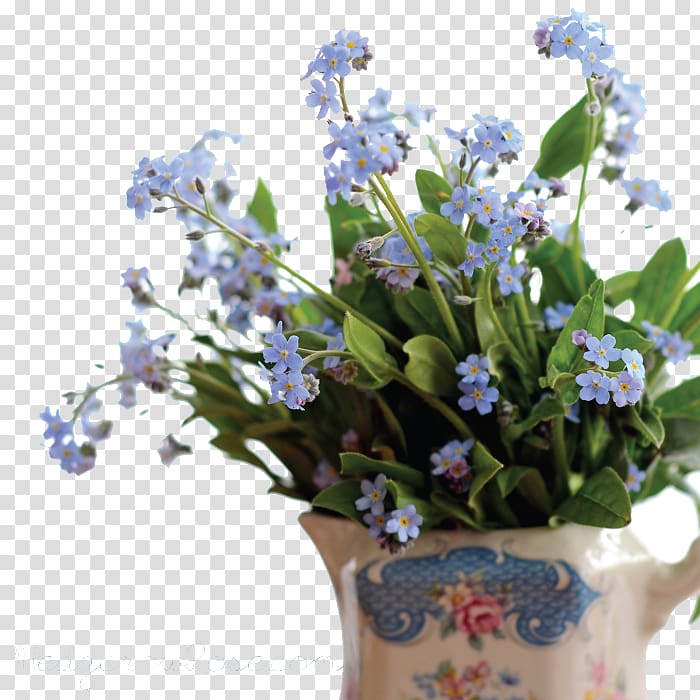 Scorpion grasses, Forget Me Not Pic transparent background PNG clipart