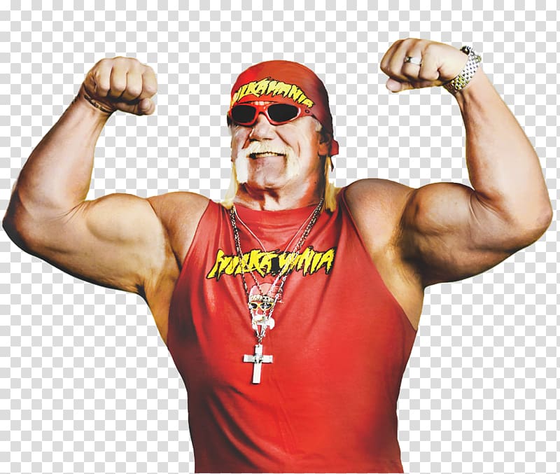 Hulk Hogan WWE Raw WWE Championship Professional Wrestler Professional wrestling, Hulk Hogan transparent background PNG clipart
