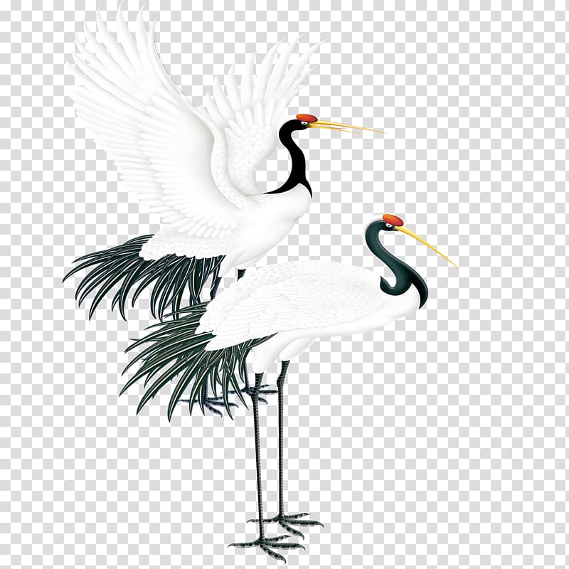 red-crowned crane transparent background PNG clipart