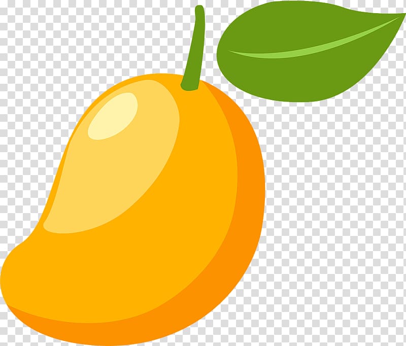 Mangifera indica Mango , cartoon mango transparent background PNG ...