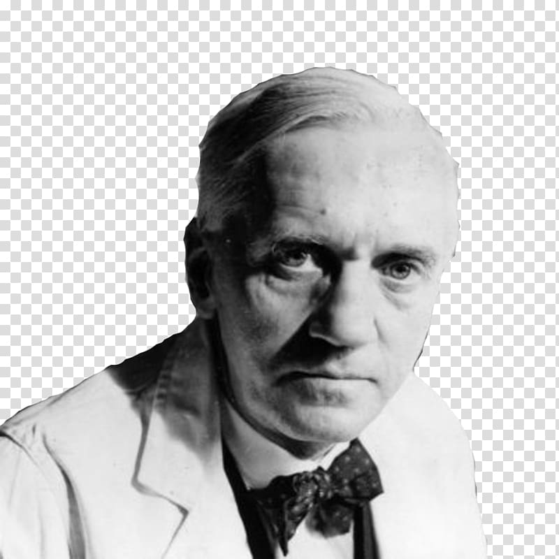 Alexander Fleming History of penicillin Penicillium chrysogenum Discovery, che guevara transparent background PNG clipart