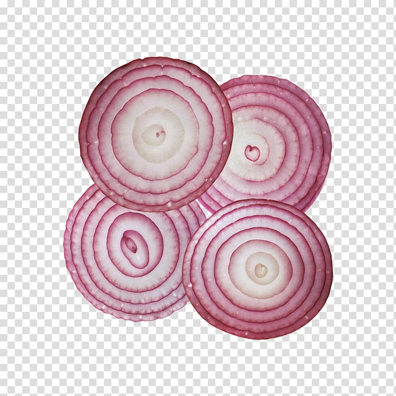 four slice purple onions, Onion ring Hamburger Computer file, Onion slices transparent background PNG clipart