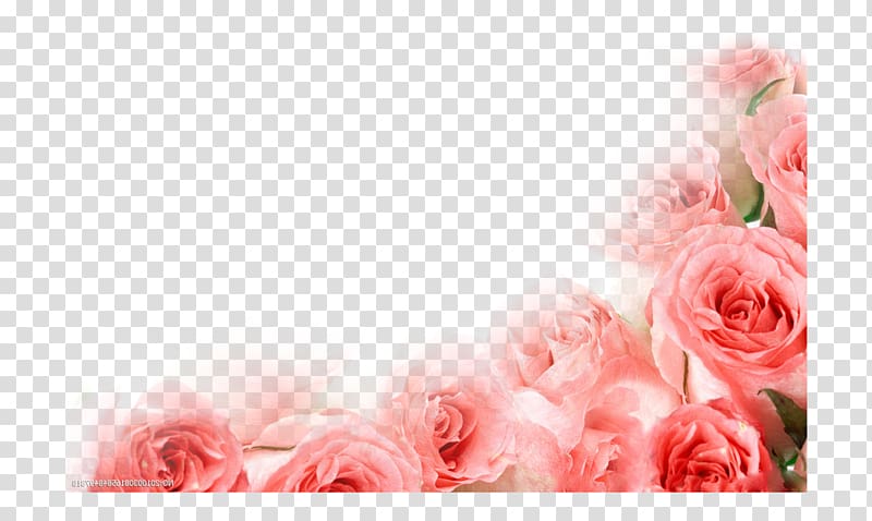 beautiful flowers beautifully decorated corner transparent background PNG clipart