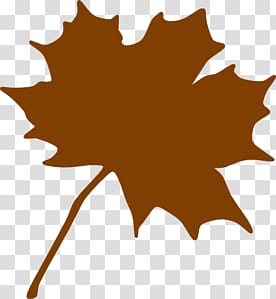 Canada Maple leaf Sugar maple , brown transparent background PNG clipart