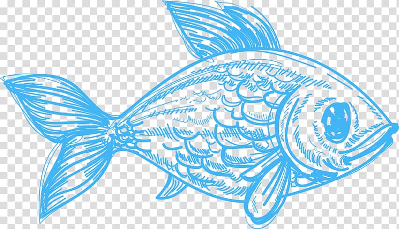 Drawing Deep sea creature Pencil Sketch, fish transparent background PNG clipart