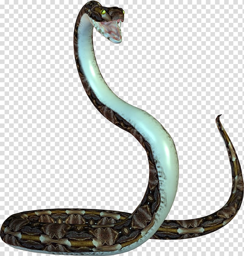 Snake Papua New Guinea Reptile King cobra, Snake free transparent background PNG clipart