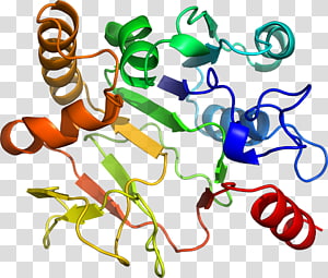 Line Point Organism , line transparent background PNG clipart thumbnail