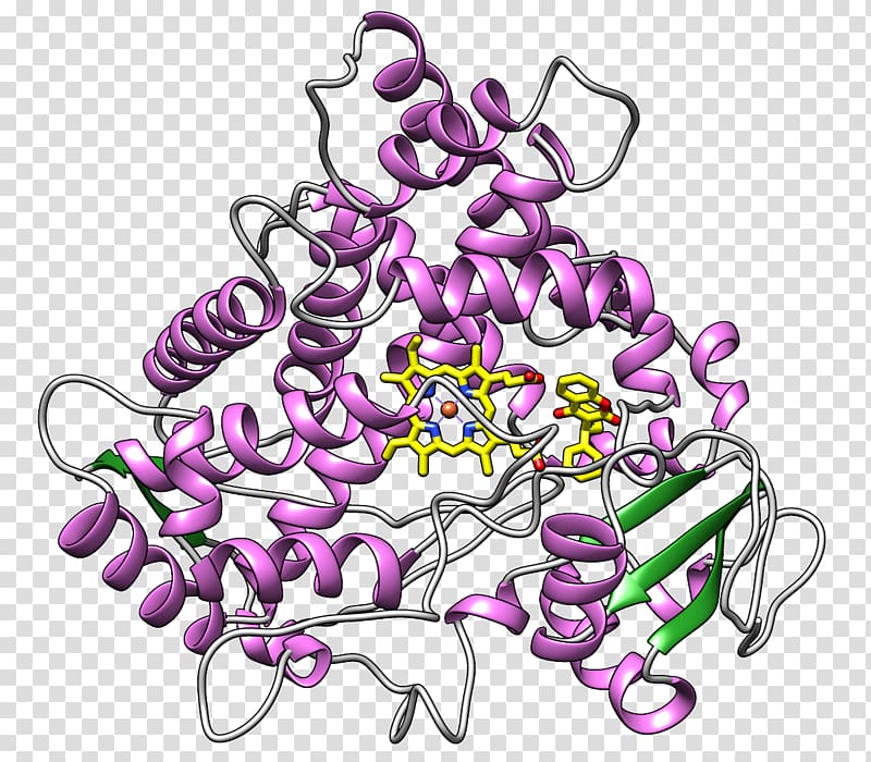 Cytochrome P450 CYP2C9 Active site Enzyme substrate, others transparent background PNG clipart