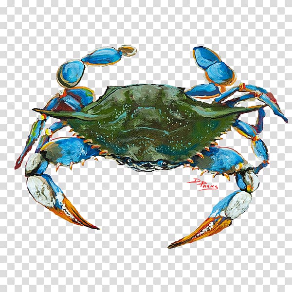 Dungeness crab Chesapeake blue crab Freshwater crab, crab transparent background PNG clipart