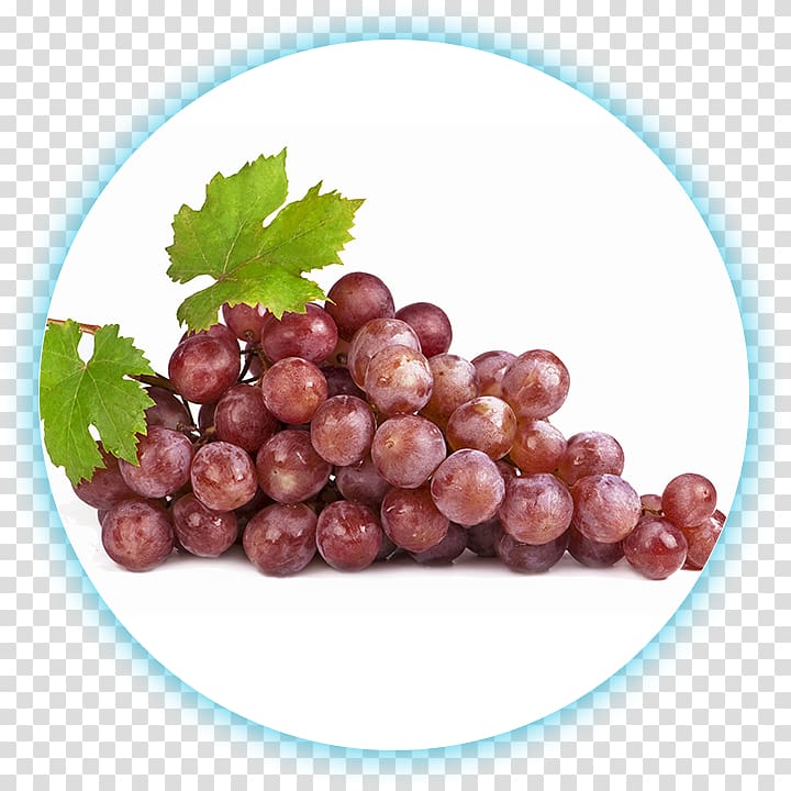 Common Grape Vine Wine Grapes Jabuticaba, grape transparent background PNG clipart