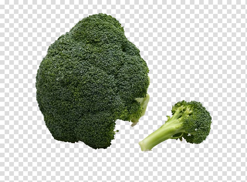 Broccoli Vegetable Immune system, green vegetables transparent background PNG clipart