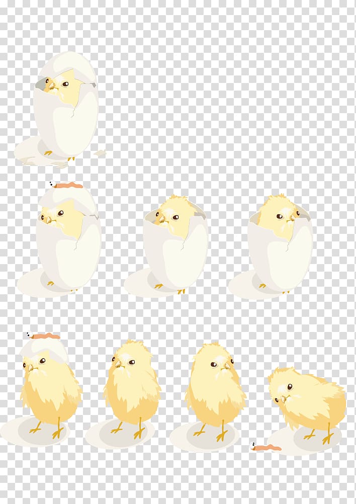 Huevos estrellados Icon, Hand-drawn illustration of chick to be hatched transparent background PNG clipart