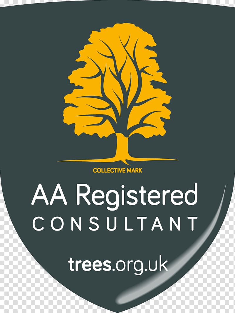 Arboriculture Consultant Environmental Change and Dryland Management in Machakos District, Kenya, 1930-90: Tree Management Ground Control, tree transparent background PNG clipart