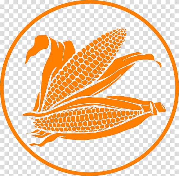 Corn on the cob Candy corn Maize , corn design transparent background PNG clipart