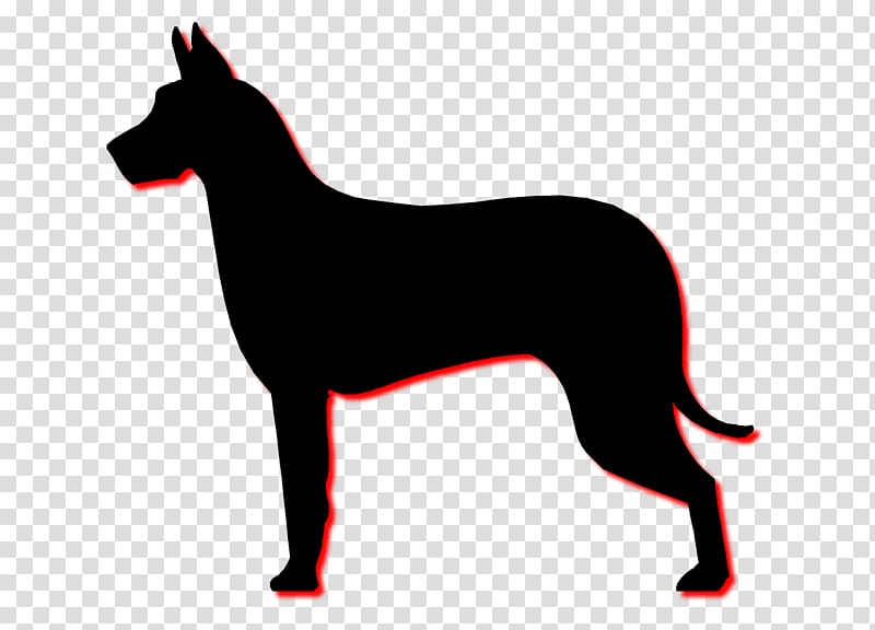 Dobermann Miniature Pinscher Boxer Puppy Silhouette, dogs transparent background PNG clipart